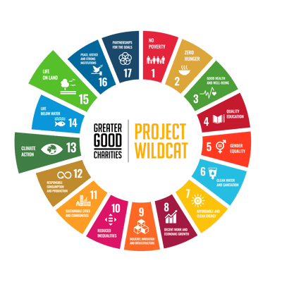 SDG_Project Wildcat